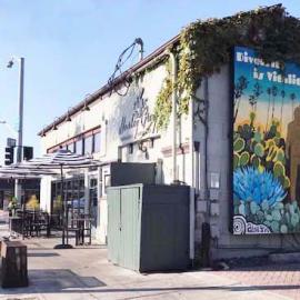 Nurtured by Nature in a Pandemic